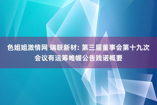 色姐姐激情网 瑞联新材: 第三届董事会第十九次会议有运筹帷幄公告践诺概要