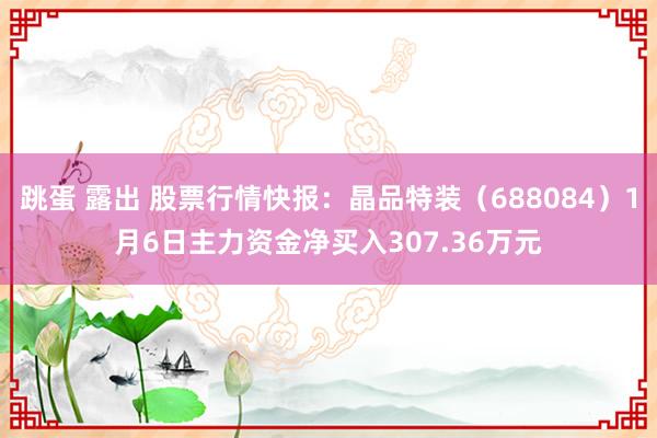 跳蛋 露出 股票行情快报：晶品特装（688084）1月6日主力资金净买入307.36万元