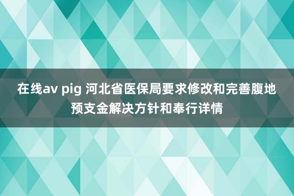 在线av pig 河北省医保局要求修改和完善腹地预支金解决方针和奉行详情