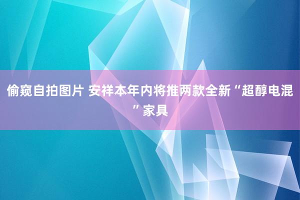 偷窥自拍图片 安祥本年内将推两款全新“超醇电混”家具