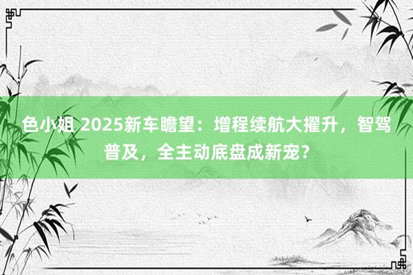 色小姐 2025新车瞻望：增程续航大擢升，智驾普及，全主动底盘成新宠？