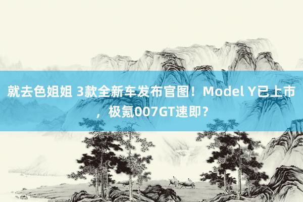 就去色姐姐 3款全新车发布官图！Model Y已上市，极氪007GT速即？