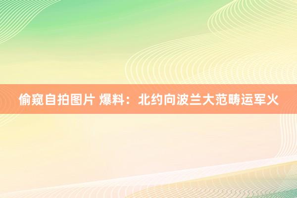 偷窥自拍图片 爆料：北约向波兰大范畴运军火