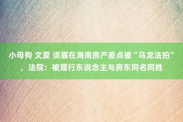 小母狗 文爱 须眉在海南房产差点被“乌龙法拍”，法院：被履行东说念主与房东同名同姓