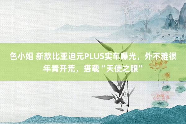 色小姐 新款比亚迪元PLUS实车曝光，外不雅很年青开荒，搭载“天使之眼”