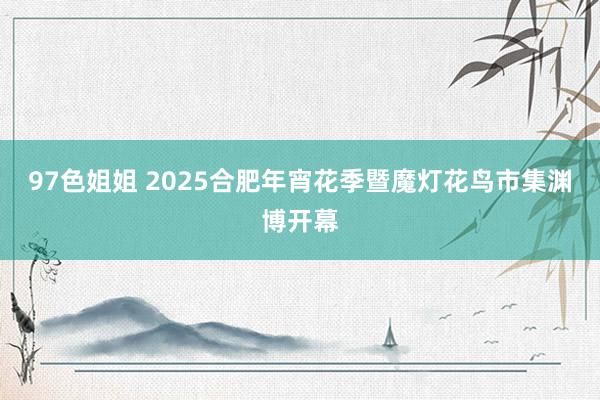 97色姐姐 2025合肥年宵花季暨魔灯花鸟市集渊博开幕