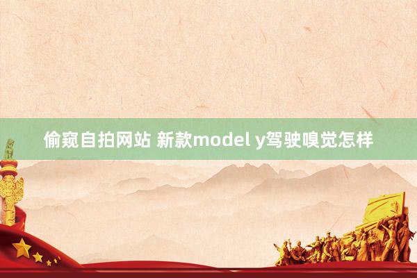 偷窥自拍网站 新款model y驾驶嗅觉怎样