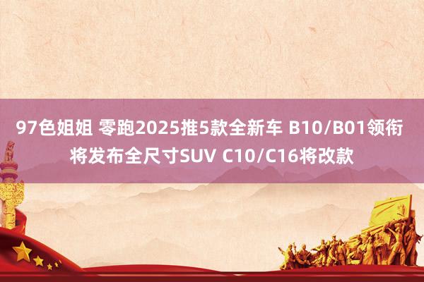 97色姐姐 零跑2025推5款全新车 B10/B01领衔 将发布全尺寸SUV C10/C16将改款