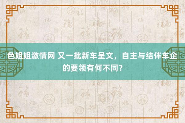 色姐姐激情网 又一批新车呈文，自主与结伴车企的要领有何不同？