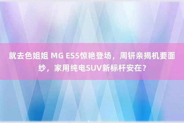 就去色姐姐 MG ES5惊艳登场，周钘亲揭机要面纱，家用纯电SUV新标杆安在？