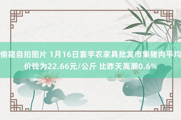 偷窥自拍图片 1月16日寰宇农家具批发市集猪肉平均价钱为22.66元/公斤 比昨天高潮0.6%